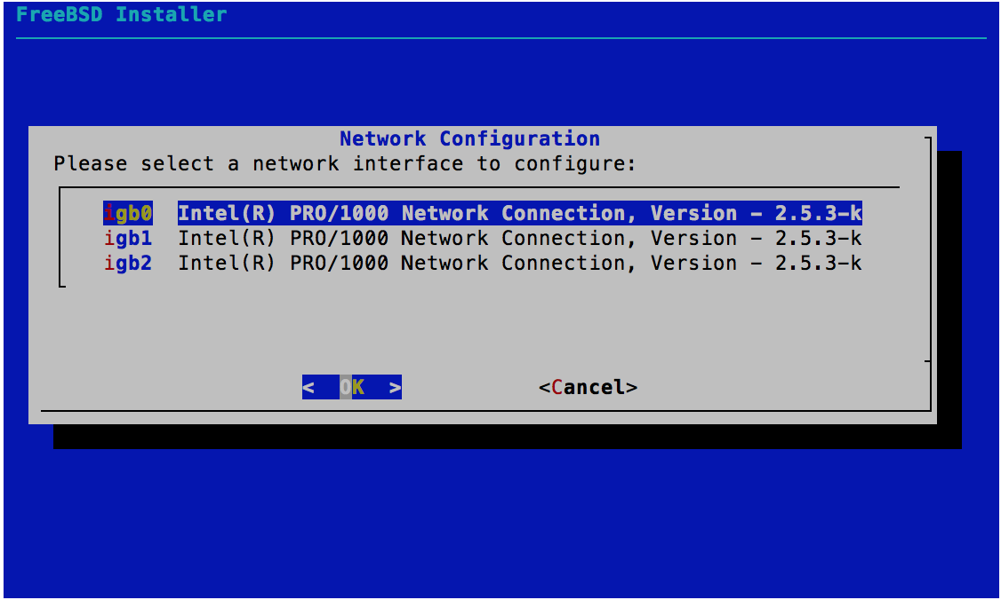 Network Configuration - NIC Selection - FreeBSD 11.0 Installer
