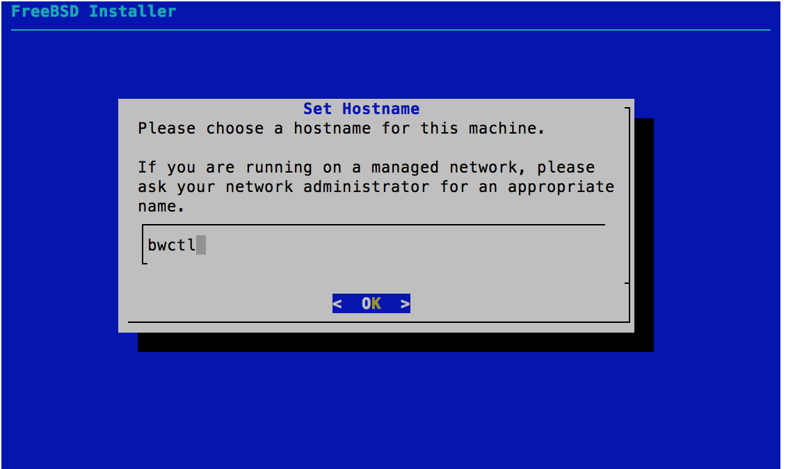Set Hostname - FreeBSD 11.0 Installer